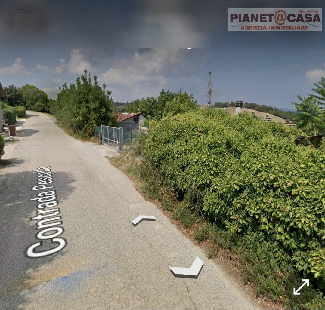 Foto 3 - Terreno agricolo Contrada Pescolla, Castorano - foto 3