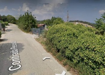 Foto 3 - Terreno agricolo Contrada Pescolla, Castorano - foto 3