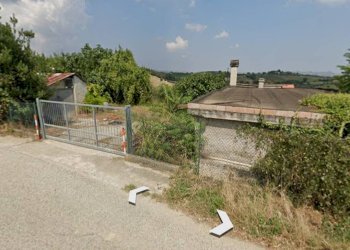 Foto 4 - Terreno agricolo Contrada Pescolla, Castorano - foto 4