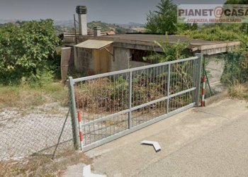 Foto 5 - Terreno agricolo Contrada Pescolla, Castorano - foto 5