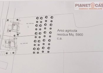 Foto 7 - Terreno agricolo Contrada Pescolla, Castorano - foto 7