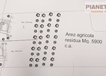 Foto 8 - Terreno agricolo Contrada Pescolla, Castorano - foto 8