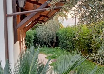 Foto 32 - Villa a Schiera Via Padre Pio da Pietralcina, Spinetoli - foto 32