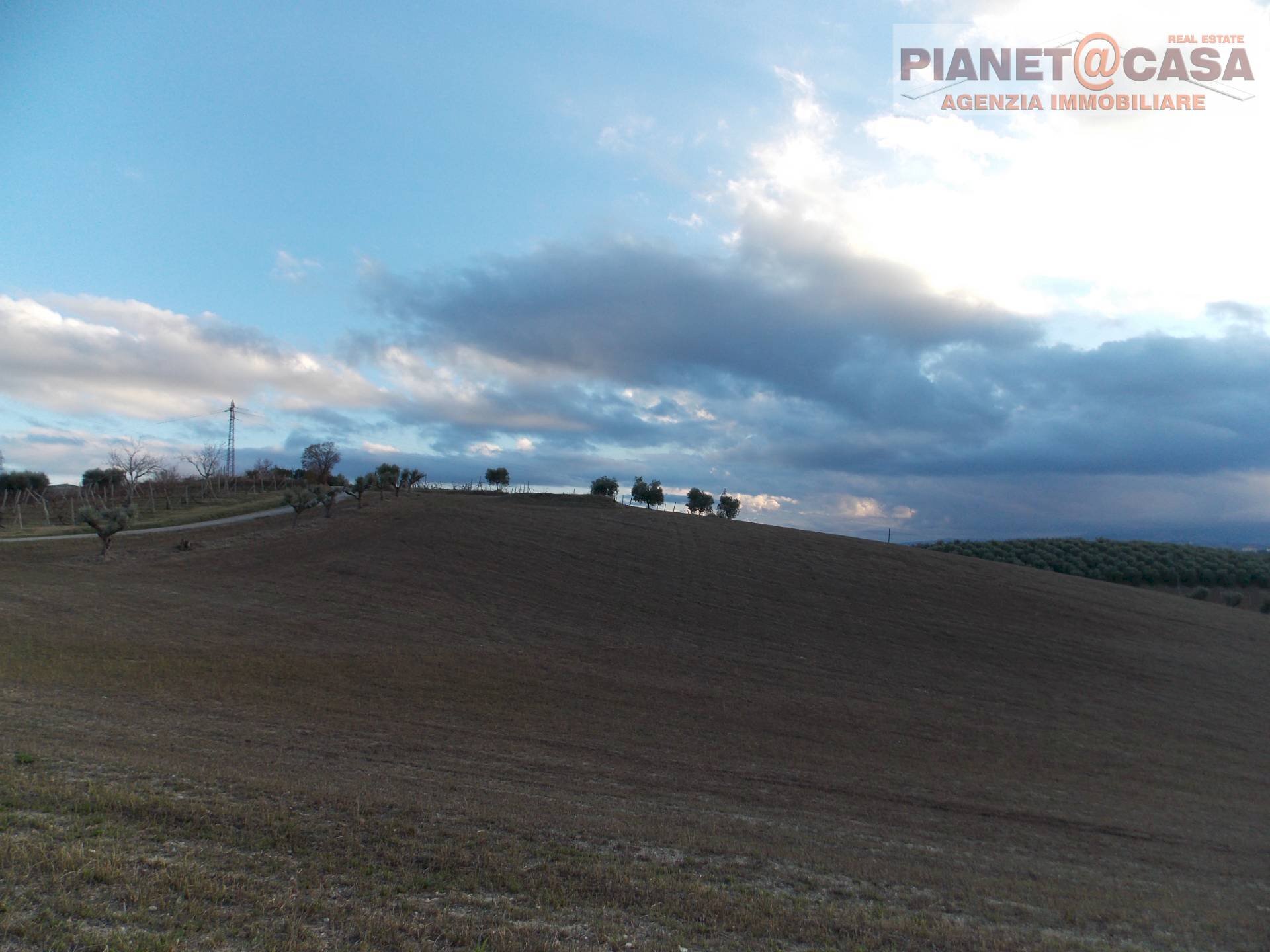 Foto 2 - Agricultural land Contrada Ferretti, Spinetoli - photo 2