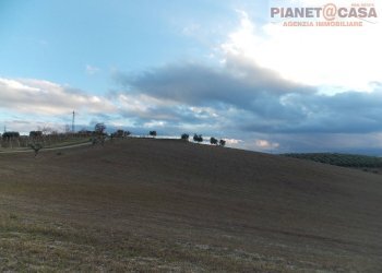 Foto 1 - Terreno agricolo Contrada Ferretti, Spinetoli - foto 1