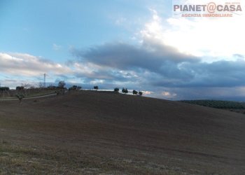 Foto 2 - Terreno agricolo Contrada Ferretti, Spinetoli - foto 2