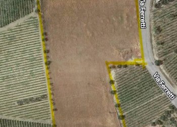 Foto 4 - Terreno agricolo Contrada Ferretti, Spinetoli - foto 4