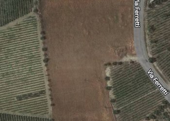 Foto 5 - Terreno agricolo Contrada Ferretti, Spinetoli - foto 5