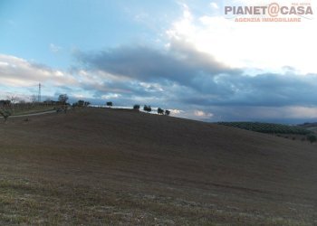 Foto 6 - Terreno agricolo Contrada Ferretti, Spinetoli - foto 6