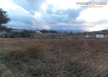 Foto 4 - Terreno edificabile Via Palazzi, Spinetoli - foto 4