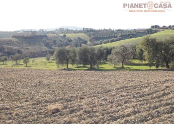 Foto 12 - Casa indipendente Contrada Palazzi valle S. Martino, Appignano del Tronto - foto 12