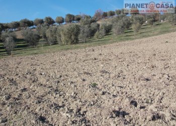 Foto 16 - Casa indipendente Contrada Palazzi valle S. Martino, Appignano del Tronto - foto 16