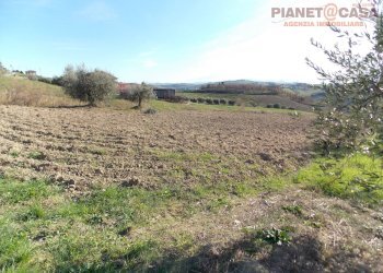 Foto 19 - Casa indipendente Contrada Palazzi valle S. Martino, Appignano del Tronto - foto 19