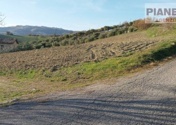 Foto 25 - Casa indipendente Contrada Palazzi valle S. Martino, Appignano del Tronto - foto 25