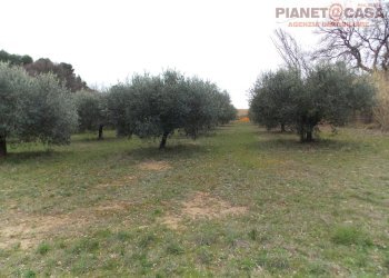 Foto 1 - Terreno agricolo Contrada Santa Lucia, San Benedetto del Tronto - foto 1