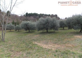 Foto 2 - Terreno agricolo Contrada Santa Lucia, San Benedetto del Tronto - foto 2