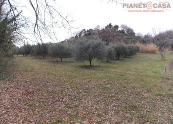 Foto 4 - Terreno agricolo Contrada Santa Lucia, San Benedetto del Tronto - foto 4