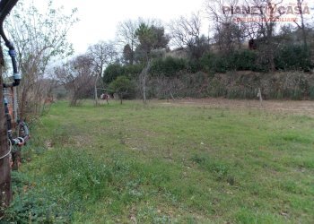 Foto 7 - Terreno agricolo Contrada Santa Lucia, San Benedetto del Tronto - foto 7