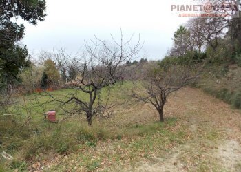 Foto 15 - Rustico Contrada Santa Lucia, San Benedetto del Tronto - foto 15