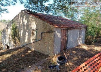 Foto 1 - Rustico Strada Provinciale Appignano, Appignano del Tronto - foto 1