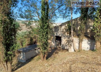 Foto 5 - Rustico Strada Provinciale Appignano, Appignano del Tronto - foto 5