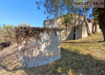 Foto 8 - Rustico Strada Provinciale Appignano, Appignano del Tronto - foto 8