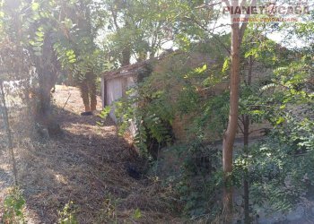 Foto 10 - Rustico Strada Provinciale Appignano, Appignano del Tronto - foto 10