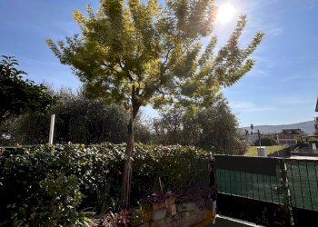 Foto 27 - Quadrilocale Via Don Paolo Rossi, Spinetoli - foto 27