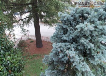 Foto 22 - Quadrilocale Via Giacomo Matteotti, Offida - foto 22