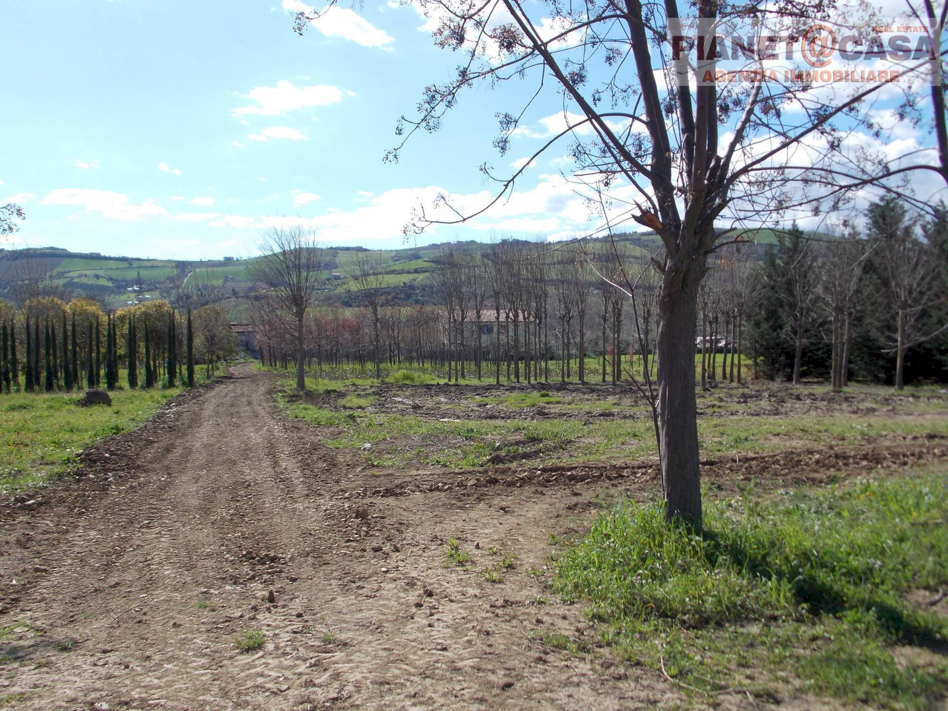 Foto 1 - Terreno agricolo Via Morrice, Colli del Tronto - foto 1