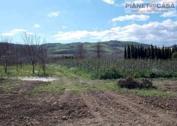 Foto 2 - Terreno agricolo Via Morrice, Colli del Tronto - foto 2
