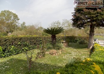 Foto 47 - Casa indipendente Piane Tronto, Controguerra - foto 47