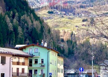 Foto 23 - Trilocale Peio - foto 23