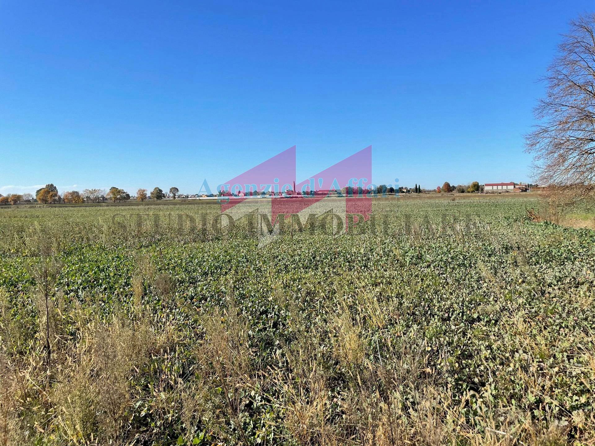 Terreno - Terreno agricolo Ceneselli, Ceneselli - foto 2