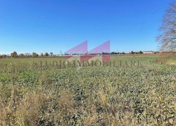 Terreno - Terreno agricolo Ceneselli, Ceneselli - foto 2