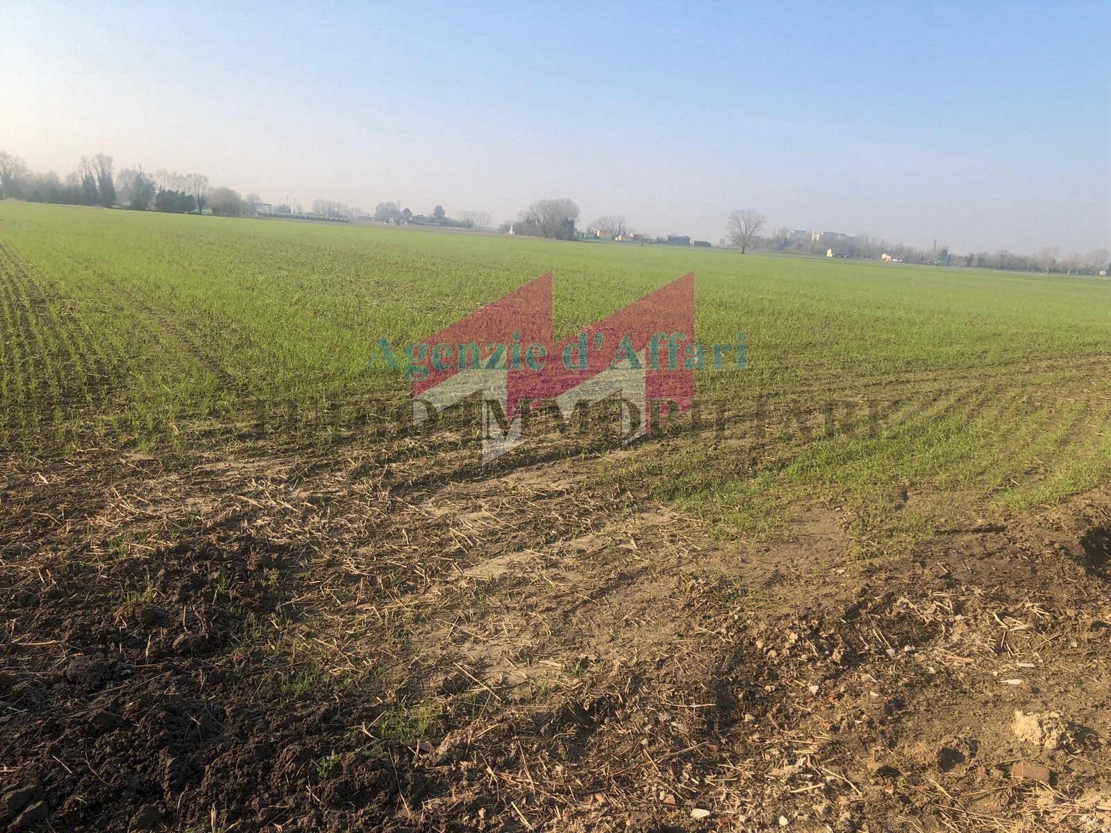 Foto 2 - Terreno agricolo Vallalta sul canale, Trecenta - foto 2