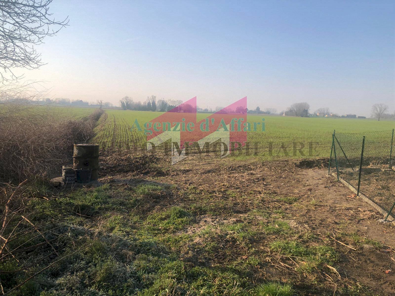 Foto 3 - Terreno agricolo Vallalta sul canale, Trecenta - foto 3