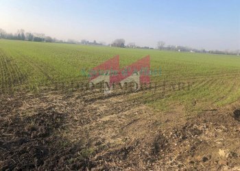 Foto 2 - Terreno agricolo Vallalta sul canale, Trecenta - foto 2