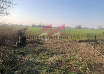 Foto 3 - Terreno agricolo Vallalta sul canale, Trecenta - foto 3