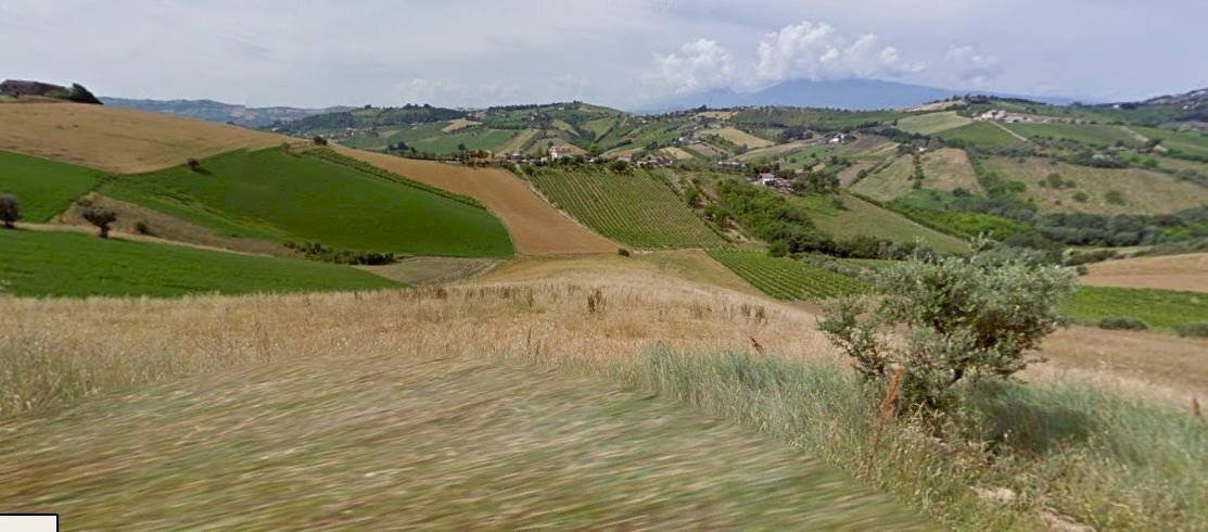 Foto 2 - Terreno agricolo Contrada Ferola, Acquaviva Picena - foto 2