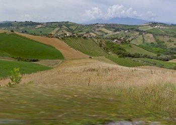 Foto 1 - Terreno agricolo Contrada Ferola, Acquaviva Picena - foto 1