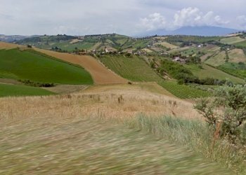 Foto 2 - Terreno agricolo Contrada Ferola, Acquaviva Picena - foto 2