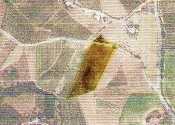 Foto 3 - Terreno agricolo Contrada Ferola, Acquaviva Picena - foto 3