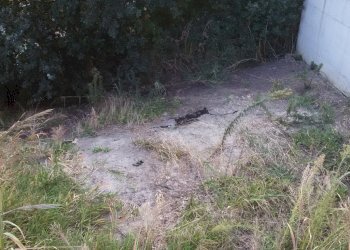 Foto 12 - Semi-detached house Via Sigismondo Damiani, San Benedetto del Tronto - photo 12