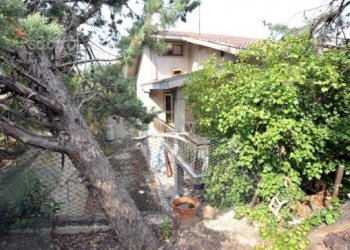 Foto 5 - Terreno edificabile Tortoreto - foto 5