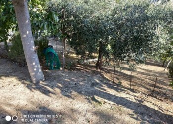 Foto 5 - Casa indipendente Via Colleappeso
 
44, Monteprandone - foto 5