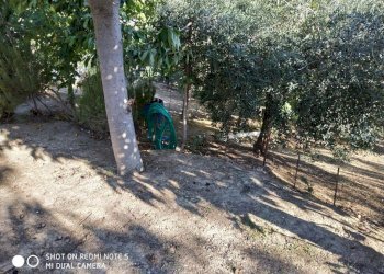 Foto 6 - Casa indipendente Via Colleappeso
 
44, Monteprandone - foto 6