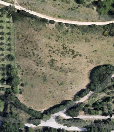 Foto 2 - Terreno agricolo Contrada San Francesco, Grottammare - foto 2