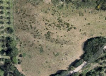 Foto 2 - Terreno agricolo Contrada San Francesco, Grottammare - foto 2