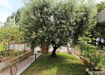 Foto 7 - Villa a Schiera Via Panoramica, San Benedetto del Tronto - foto 7